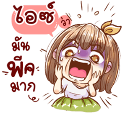 54644425