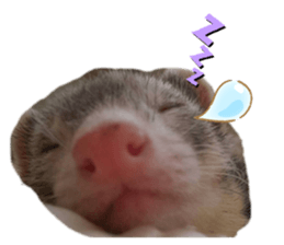 546501754