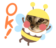 546504930