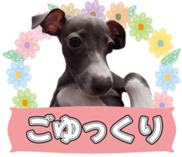546531228