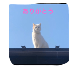 546553313