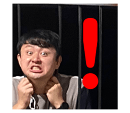 546556362