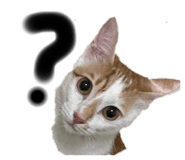 546598094