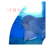 546598101