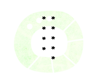 546602962