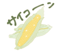 546604239