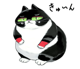 546605842