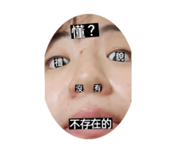546617847