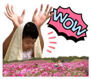 546650420