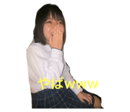 546651729