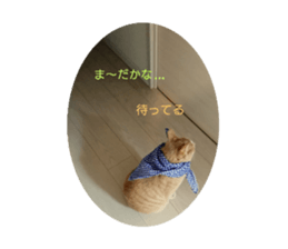 546654668