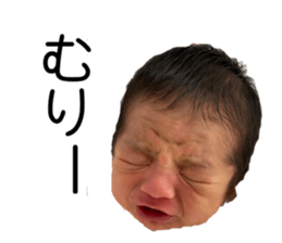 546657180