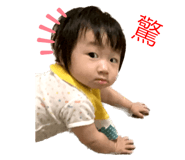 546661067