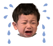 546661068