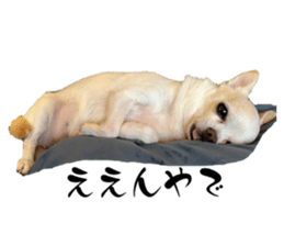 546662128