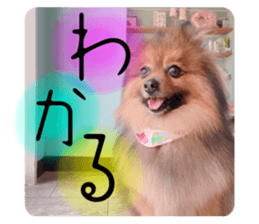 546663734