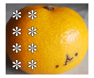 546665357