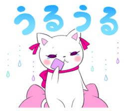 546666450