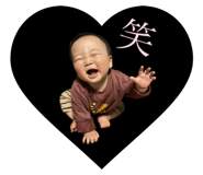546667158