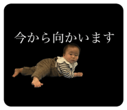 546667164