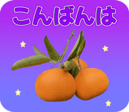 546670140
