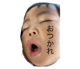 546673377