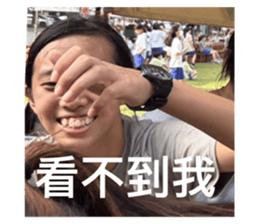 546675185