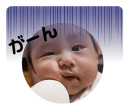 546786681
