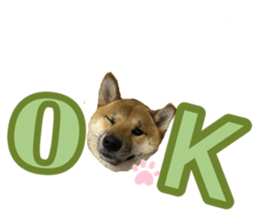 546836968