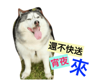 54684014