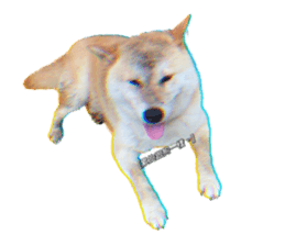 546877018