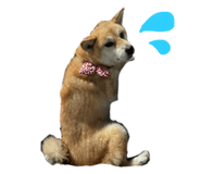546887512
