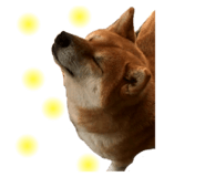 546887514