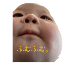 546896032