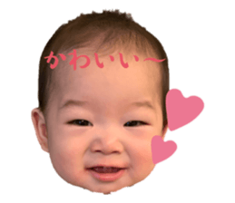 546896036