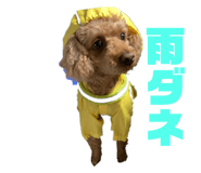 546899697
