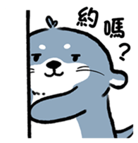 546924491