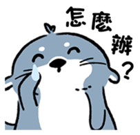 546924498
