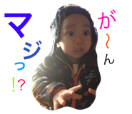 54694167