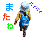 54694173