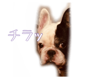 546952233