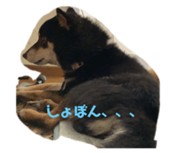 546954500