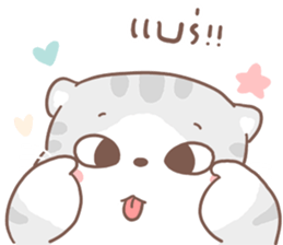 ลายที่ 3