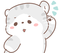 ลายที่ 13