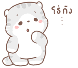 ลายที่ 23