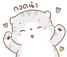 ลายที่ 25