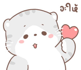 ลายที่ 27