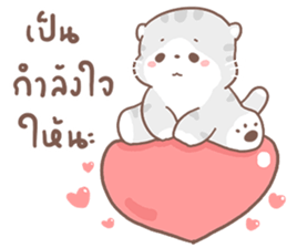 ลายที่ 31