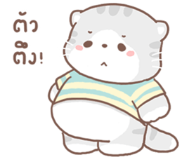 ลายที่ 37