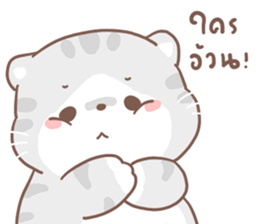 ลายที่ 43